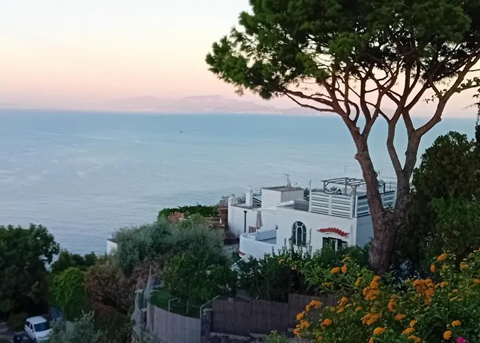 Bed and Breakfast La Pergola Del Torchio Ischia